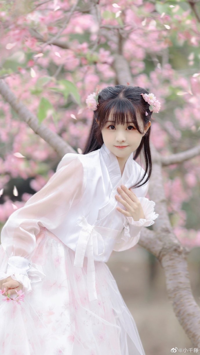 陈情令 封面